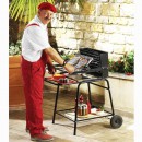 Barbecue Raymond Somagic cuisson verticale