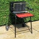 Barbecue Raymond Somagic cuisson verticale