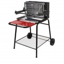 Barbecue Raymond Somagic cuisson verticale