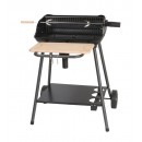 Barbecue Bergamo Somagic cuve fonte