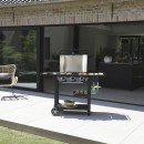 Barbecue &agrave; gaz Flavo 60 sur chariot Gardenmax Cookingarden